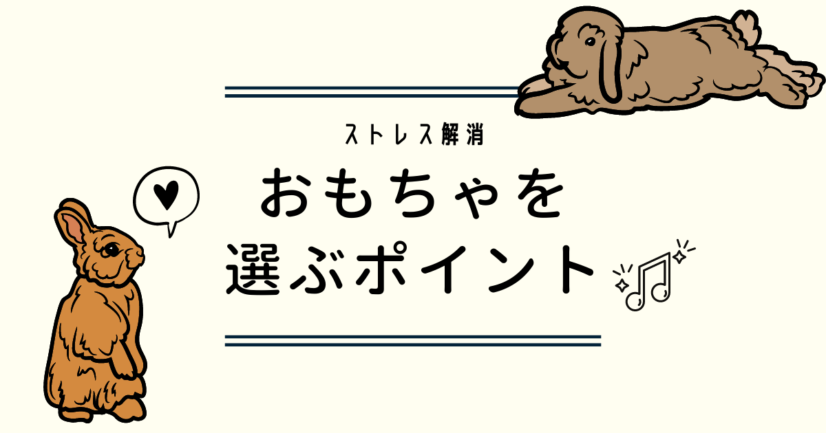 うさぎがおもちゃで遊ばない?失敗しない選び方とおすすめグッズ10選 | うさぎと暮らすマガジン