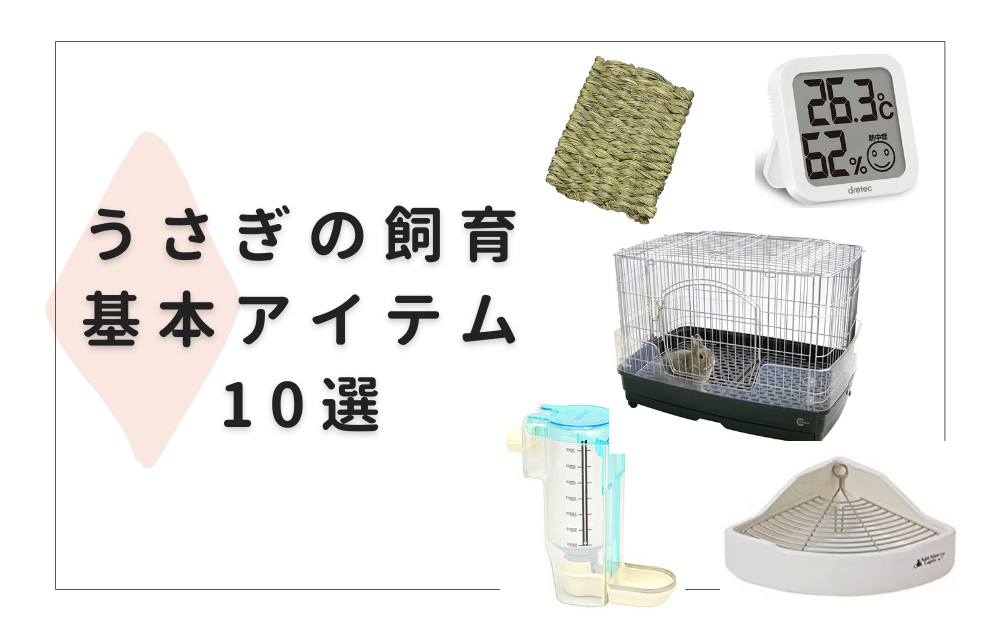 うさぎのお迎え準備 基本アイテム10選 選び方やよくある失敗談 うさぎと暮らすマガジン うさぎのお迎え準備 基本アイテム10選 選び方やよくある失敗談 うさぎと暮らすマガジン