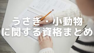 お家でできる うさぎの肥満度チェック 太り過ぎの見分け方とは うさぎと暮らすマガジン