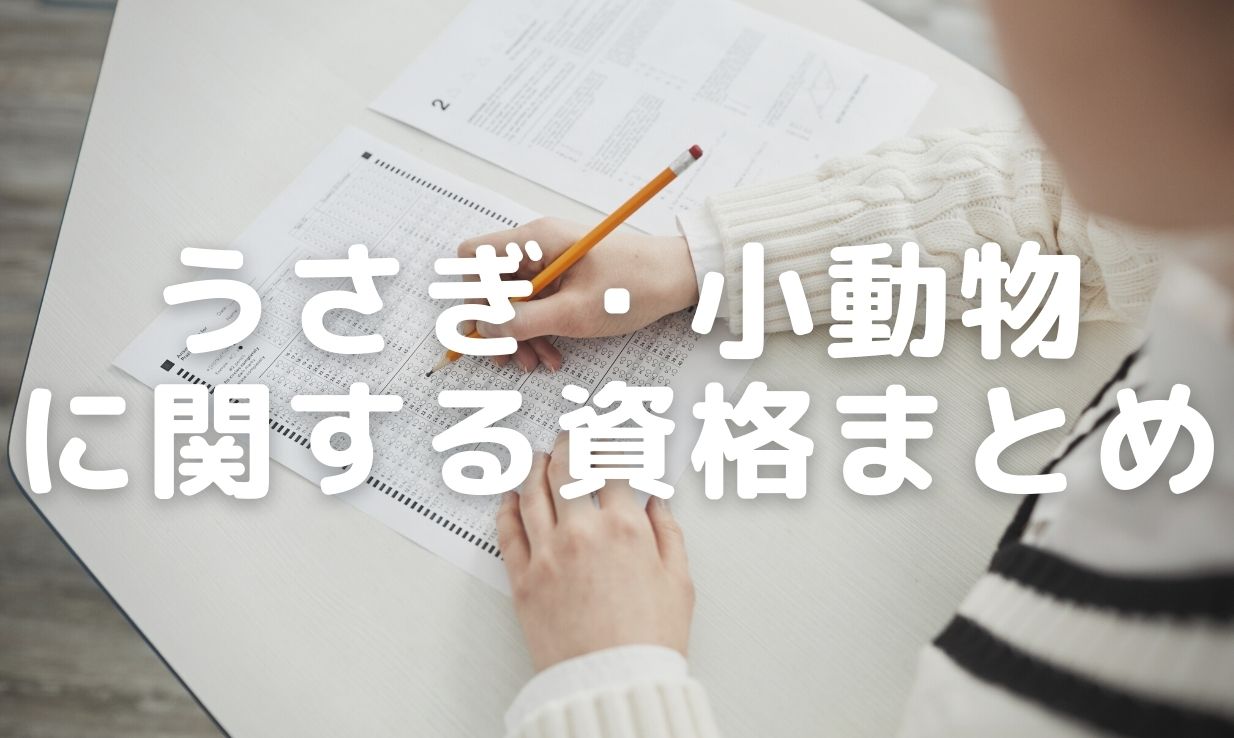 うさぎ小動物に関わる資格まとめ 難易度や費用メリットデメリットは うさぎと暮らすマガジン